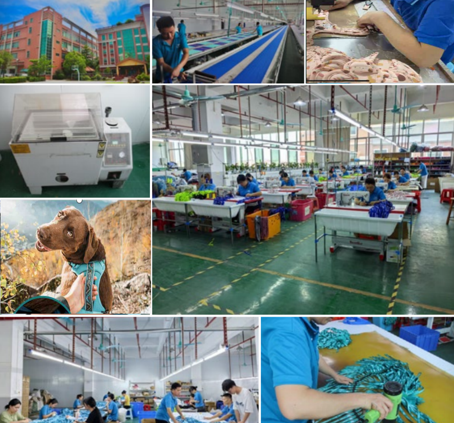 pet factory reviewing